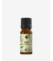 Sage essential oil