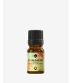 Frankincense essential oil