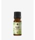 Basil sweet pure essential oil