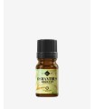 Absolut de Osmanthus