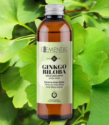 Ginkgo biloba extract