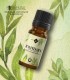 Ravintsara essential oil