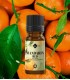 Mandarin red essential oil, pure and natural (citrus reticulata)