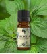 Patchouli, ulei esenţial pur (pogostemom cablin) 10 ml