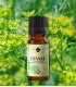 Fenicul dulce ulei esenţial pur (foeniculum vulgare) 10 ml 