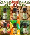 Winter Holiday Essential Oil Pack