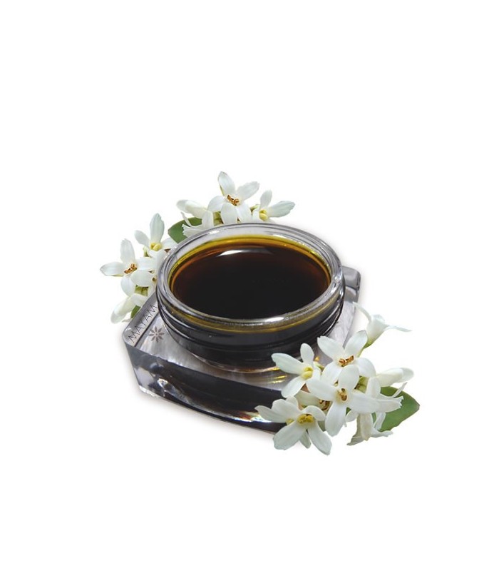 Absolut de Osmanthus (osmanthus fragrans) 1 ml