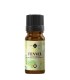 Fenicul dulce ulei esenţial pur (foeniculum vulgare) 10 ml 