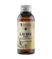 Laurel berry oil