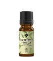Eucalyptus Globulus Organic essential oil