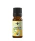 Ghimbir ulei esenţial pur (zingiber officinale) 10ml