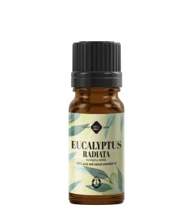 Eucalyptus Radiata pure essential oil