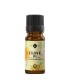 Clove bud pure essential oil