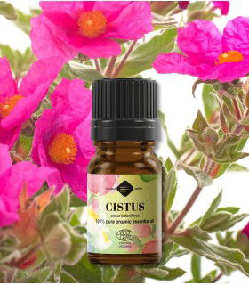 Cistus BIO ulei esenţial (cistus ladaniferus)