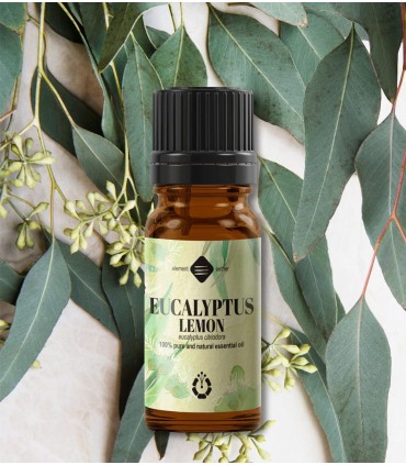 Eucalipt Citronat ulei esenţial (eucaliptus citriodora), 10 ml