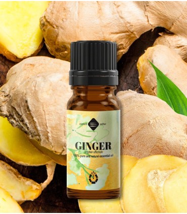 Ghimbir ulei esenţial pur (zingiber officinale) 10ml