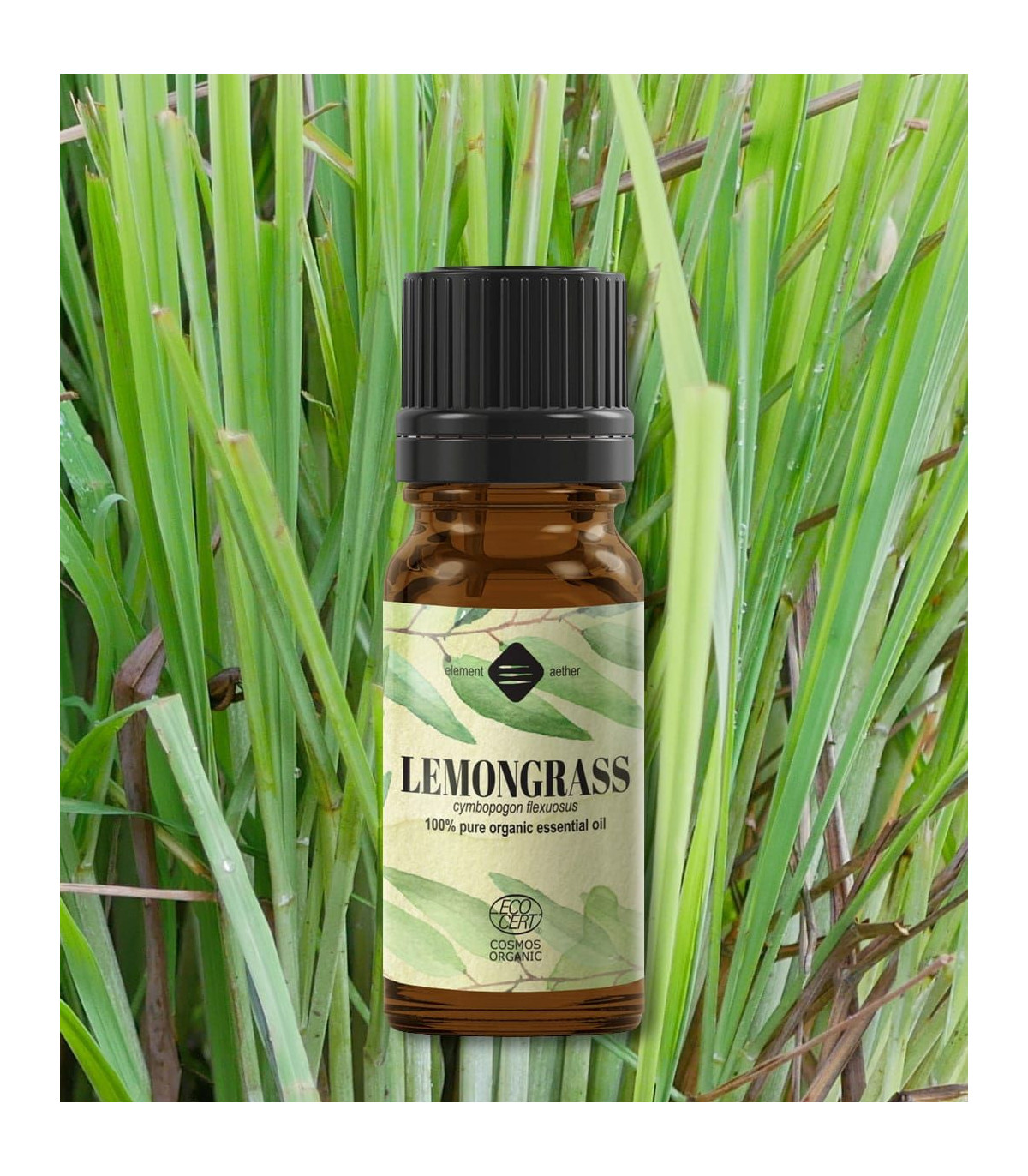 Lemongrass BIO ulei esenţial (cymbopogon flexuosus)