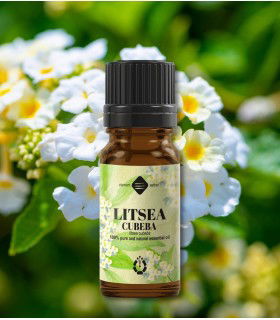 Litsea Cubeba ulei esenţial pur (litsea cubeba) 10 ml