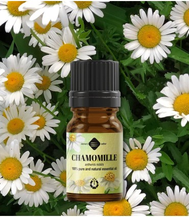 Chamomille pure essential oil