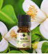 Neroli ulei esenţial (citrus aurantium L.) 2 ml