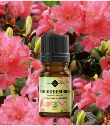 Rhododendron BIO ulei esenţial
