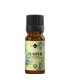 Juniper pure essential oil