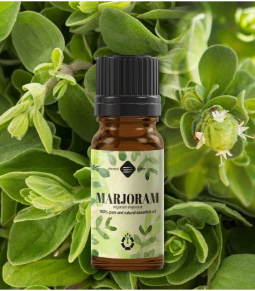 Marjoram pure essential oil