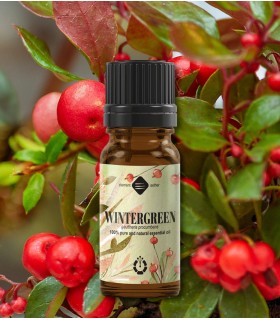 Wintergreen essential oil (gaultheria procumbens)