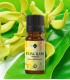 Ylang-Ylang complete pure essential oil