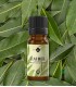 Dafin ulei esenţial pur (laurus nobilis) 10 ml