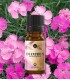 Natural cosmetic fragrance oil "Carnation"