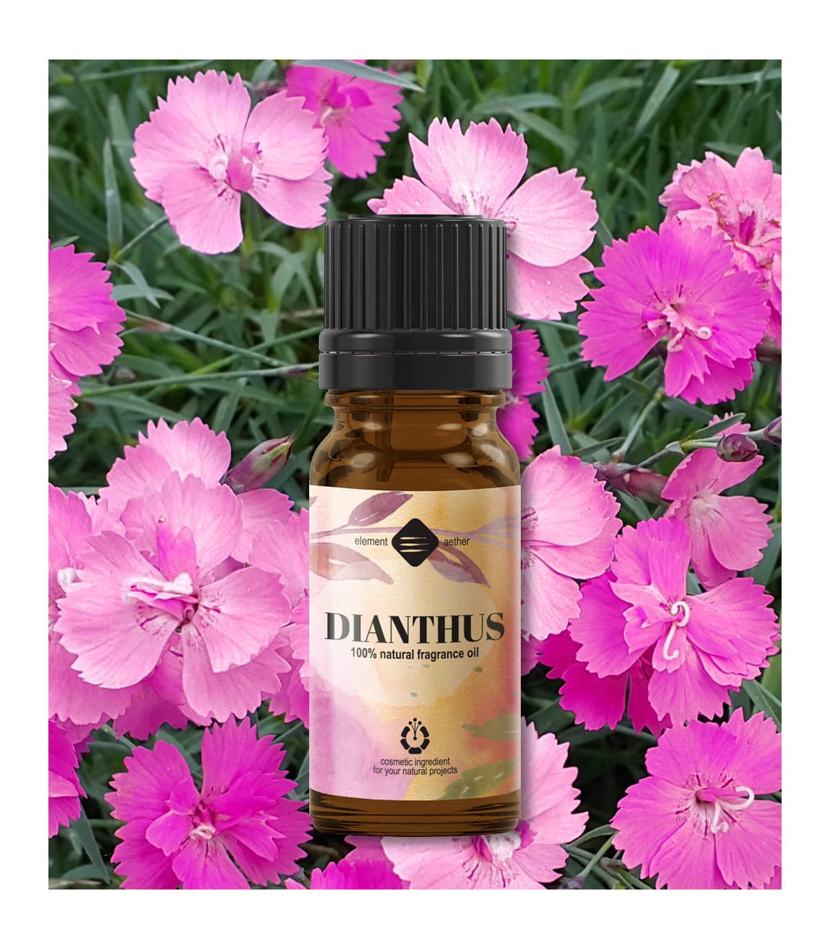 Natural cosmetic fragrance oil "Carnation"