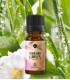 Natural cosmetic fragrance oil "Fresh green"