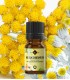 Everlasting essential oil, pure (helichrysum italicum)