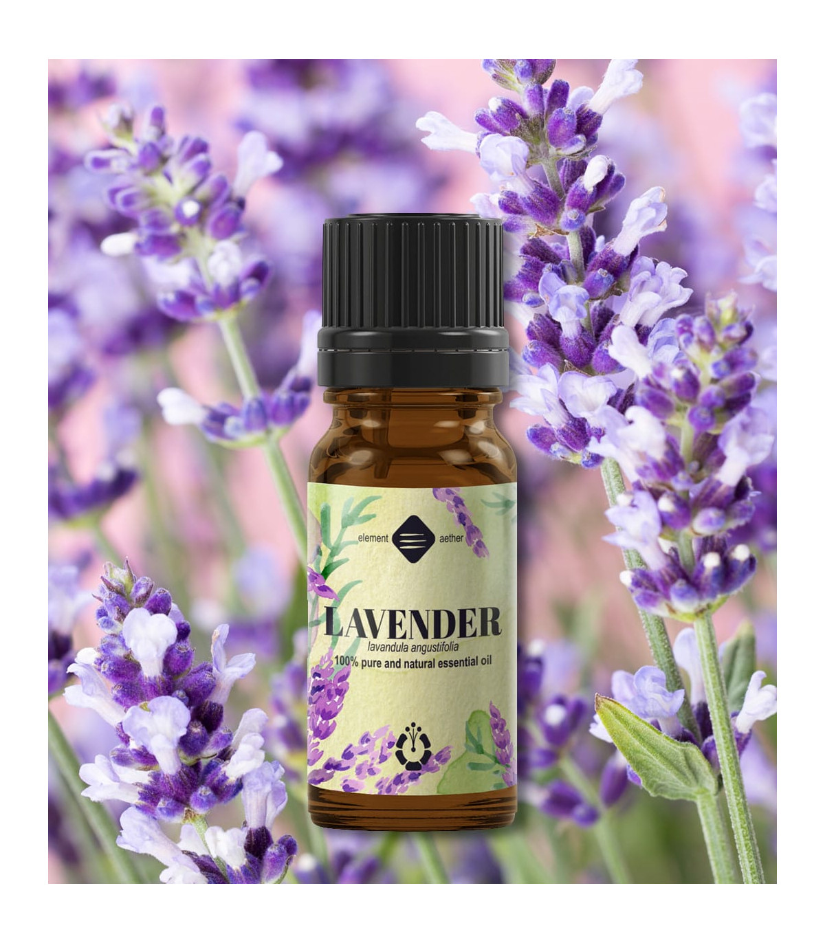 Lavender, pure essential oil (lavandula angustifolia)