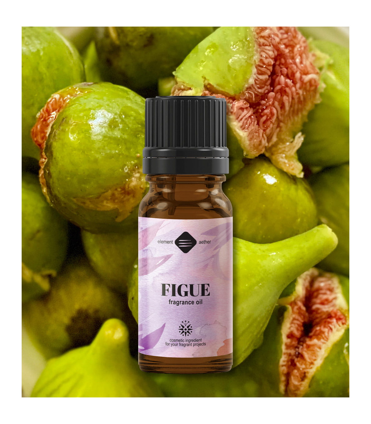 Figue Fragrance oil
