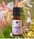 Honeysuckle Fragrance oil