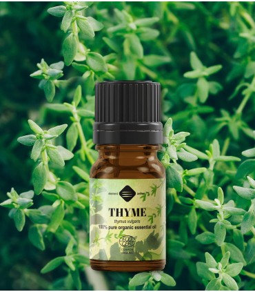 Cimbru BIO ulei esenţial (thymus vulgaris), 5 ml