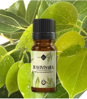 Ravintsara oil