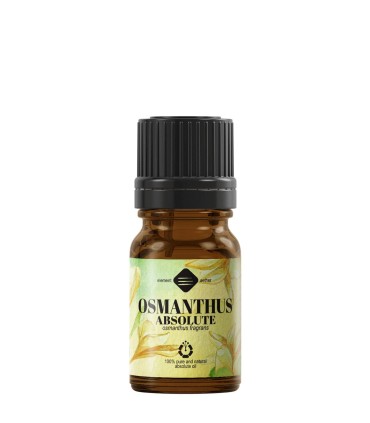 Absolut de Osmanthus (osmanthus fragrans) 1 ml