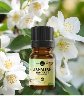 Absolut de Iasomie (jasminum sambac) 2 ml