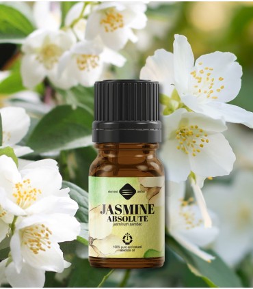 Absolut de Iasomie (jasminum sambac) 2 ml