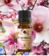 Natural fragrance oil Magnolia
