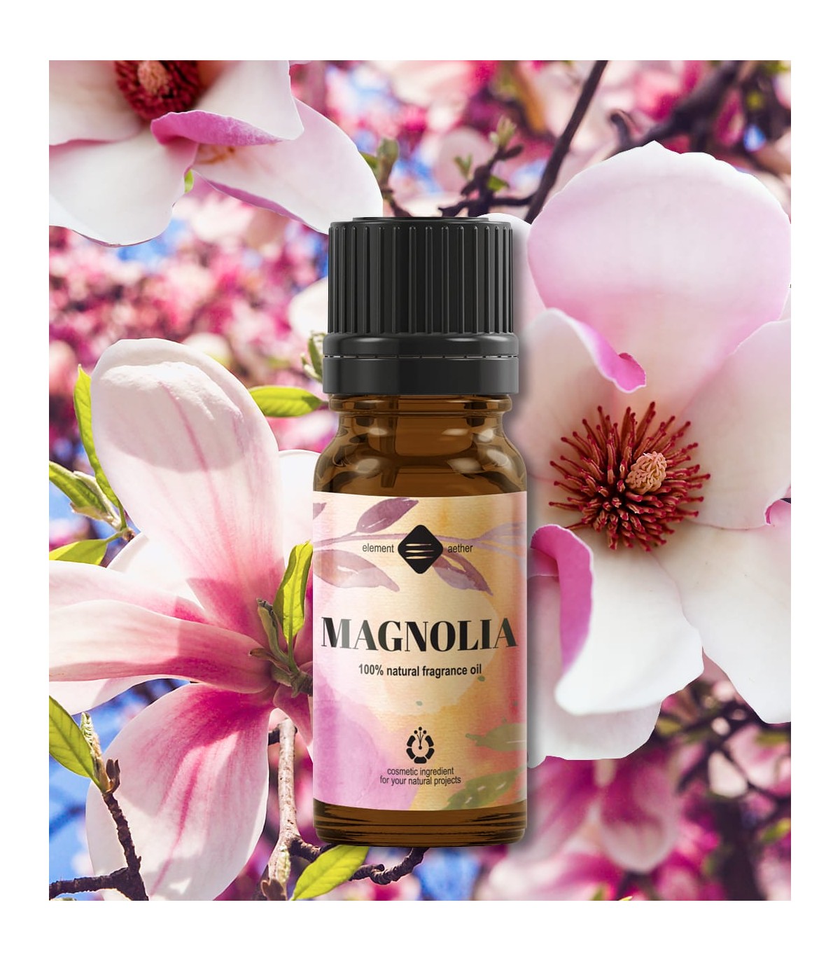 Natural fragrance oil Magnolia