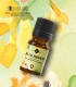 Everlasting essential oil, pure (helichrysum italicum)