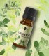 Oregano, ulei esenţial pur (origanum vulgare), 10 ml