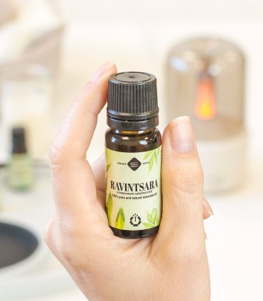 Ravintsara essential oil