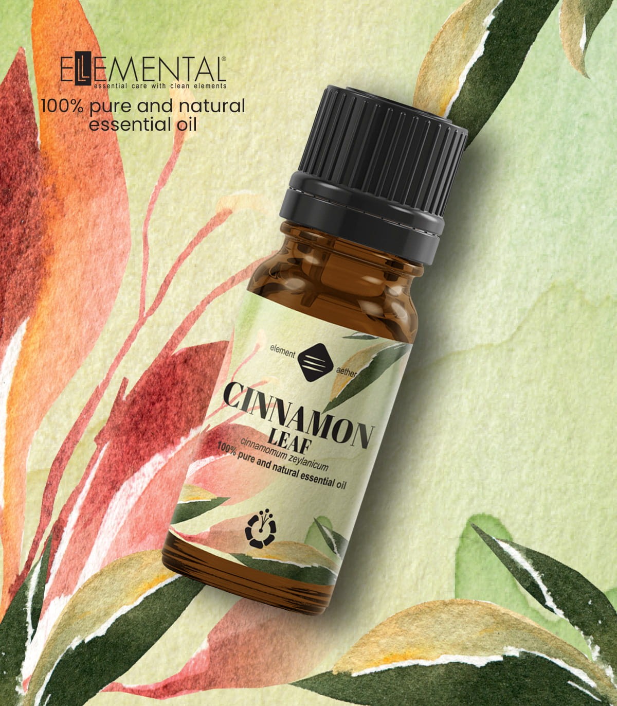 Cinnamon, pure essential oil (cinnamomum zeylanicum)