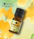 Morcov sălbatic ulei esenţial din seminţe (daucus carota), 5 ml