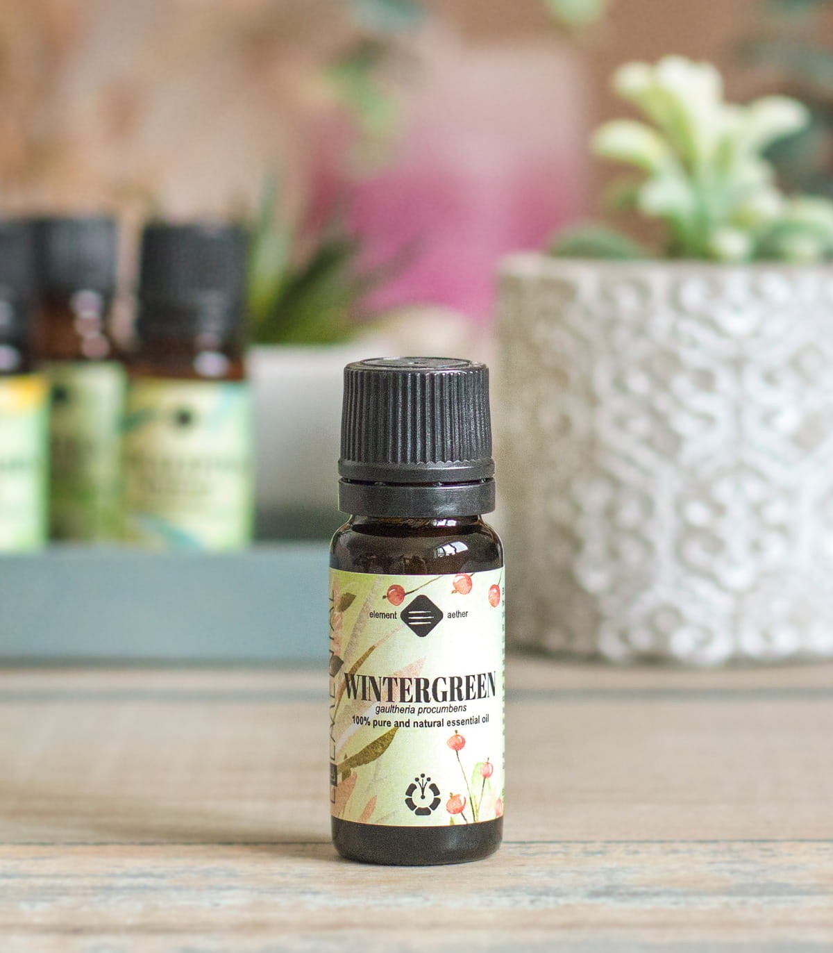 Wintergreen essential oil (gaultheria procumbens)